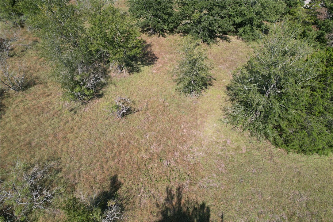 9373 Green Branch Loop Bryan, TX 77808 - Photo 9 of 11