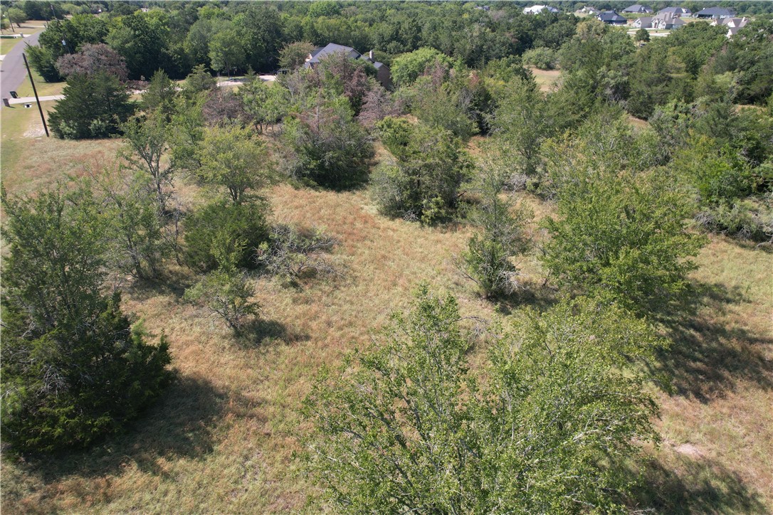 9373 Green Branch Loop Bryan, TX 77808 - Photo 10 of 11