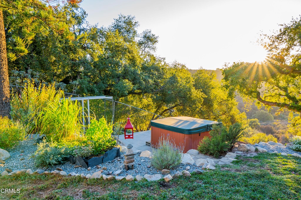 4155 Aralia Road Altadena, CA 91001 - Photo 17 of 28 a view of a garden with plants and large trees
