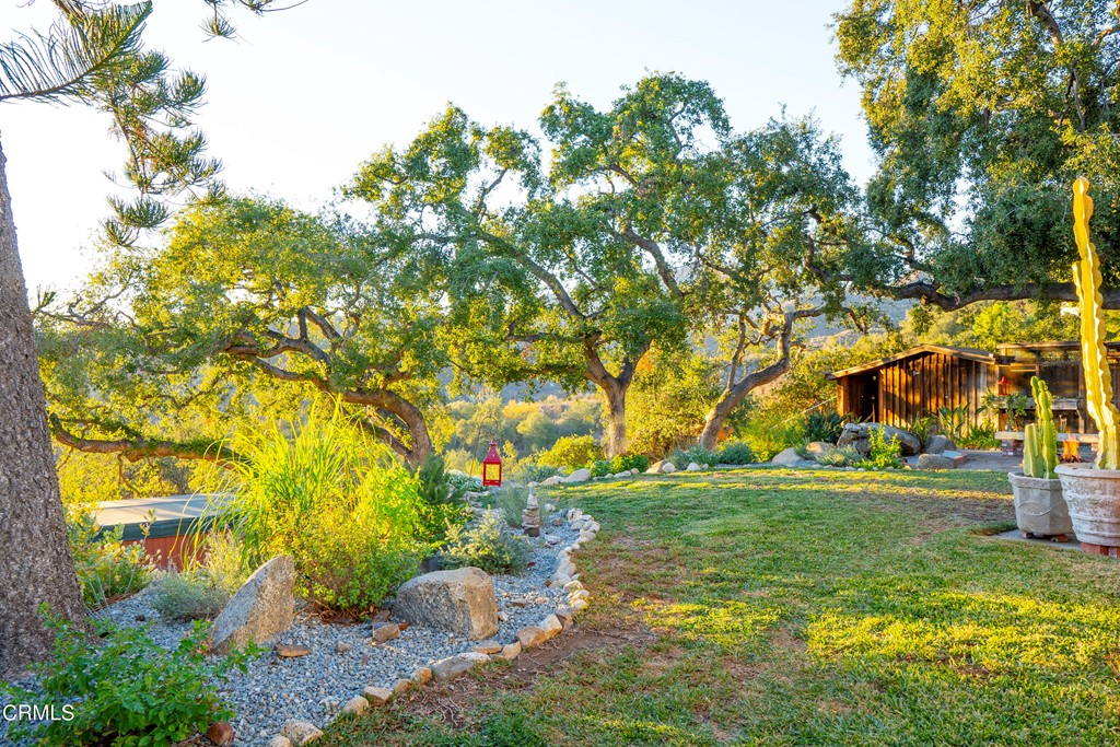 4155 Aralia Road Altadena, CA 91001 - Photo 18 of 28 a view of a yard with a tree