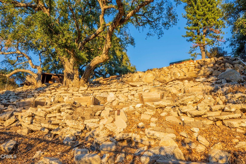 4155 Aralia Road Altadena, CA 91001 - Photo 20 of 28 a view of a yard