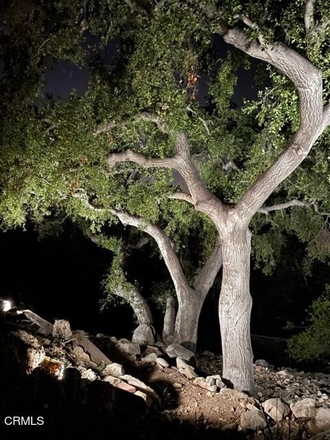 4155 Aralia Road Altadena, CA 91001 - Photo 22 of 28 a view of a tree in a yard