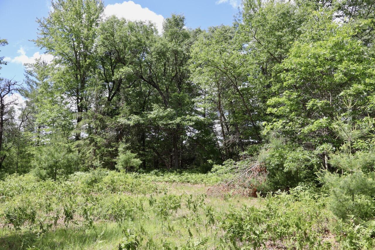4473 Hamilton Drive Harrison, MI 48625 - Photo 67 of 77 55