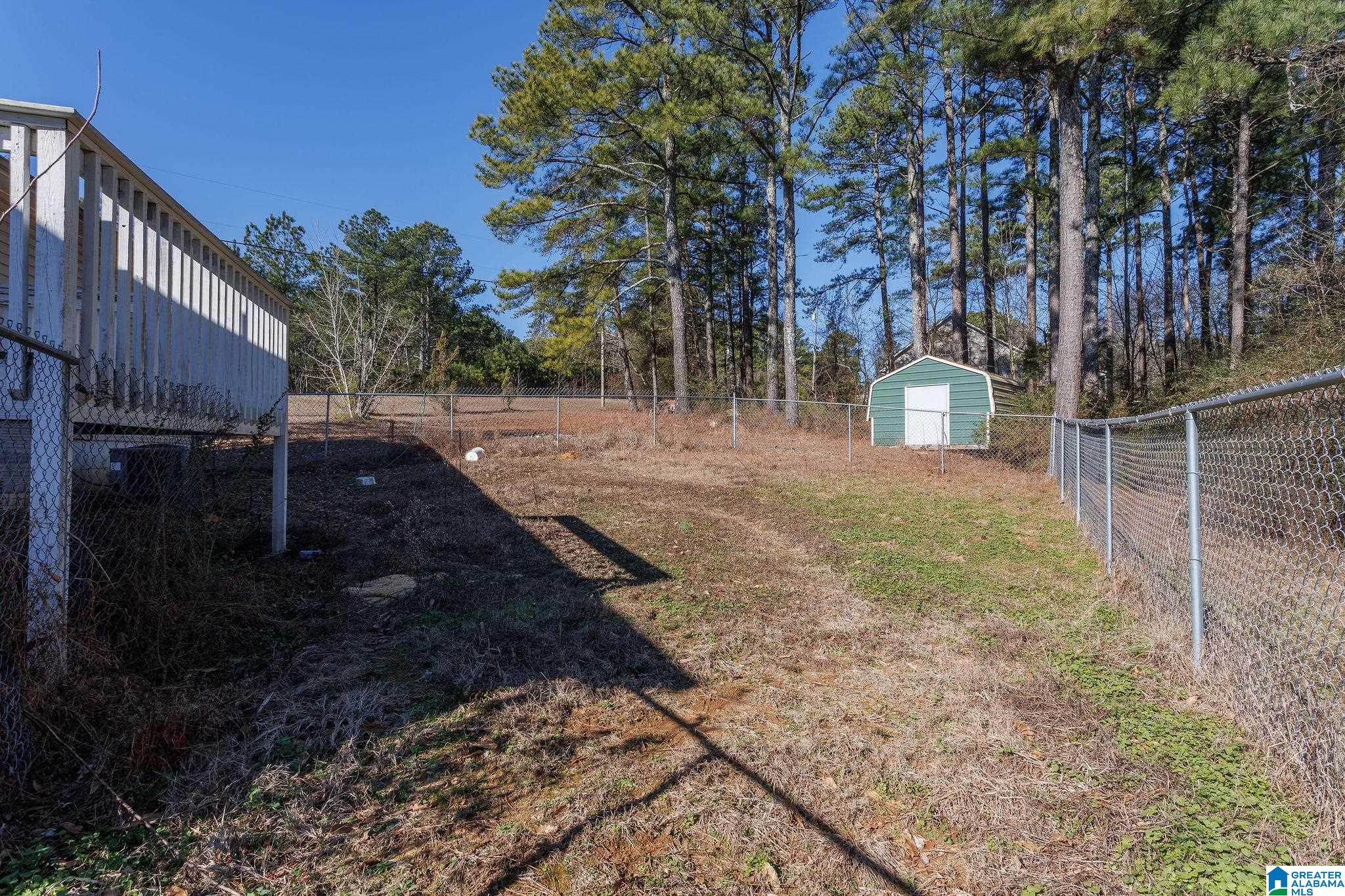 11 Wet Cat Road Hayden, AL 35079 - Photo 47 of 47