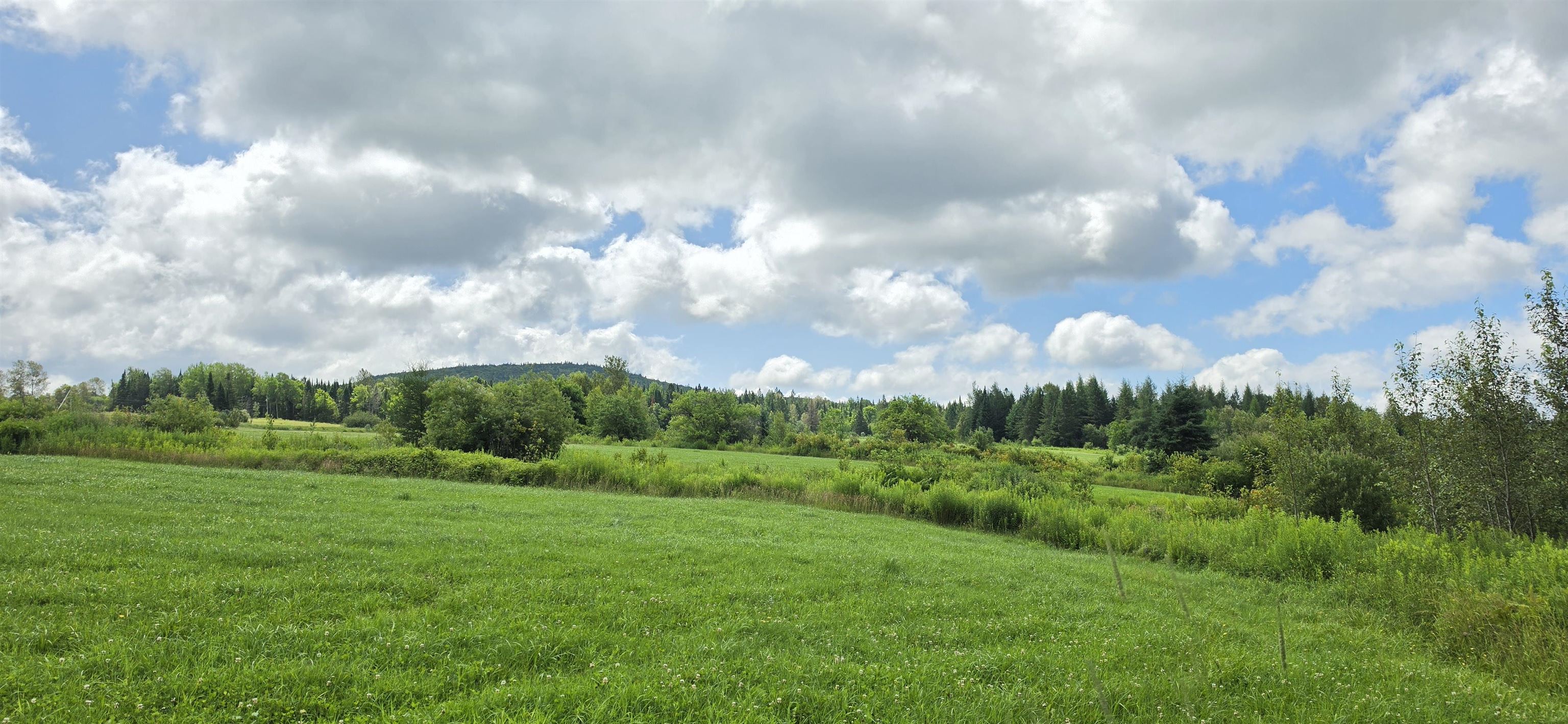 1888 Trucott Road Holland, VT 05830 - Photo 9 of 42