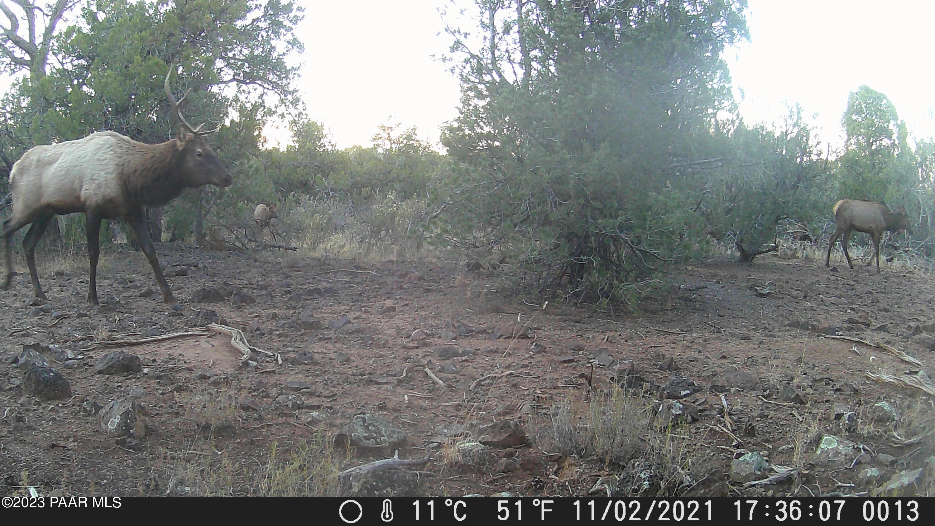 47850 North Happy Ranch Road Seligman, AZ 86337 - Photo 44 of 44 DSCF0013b
