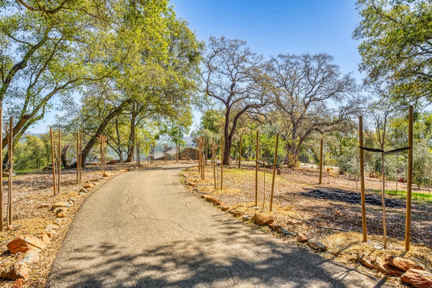 5161 Coyote Pass Road Shingle Springs, CA 95682 - Photo 41 of 48