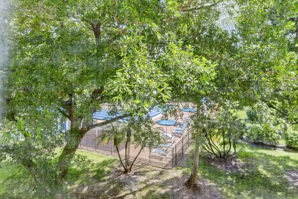 a view of a yard