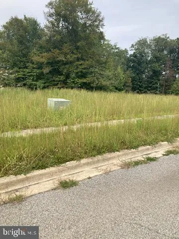 a backyard of a house with a lake view