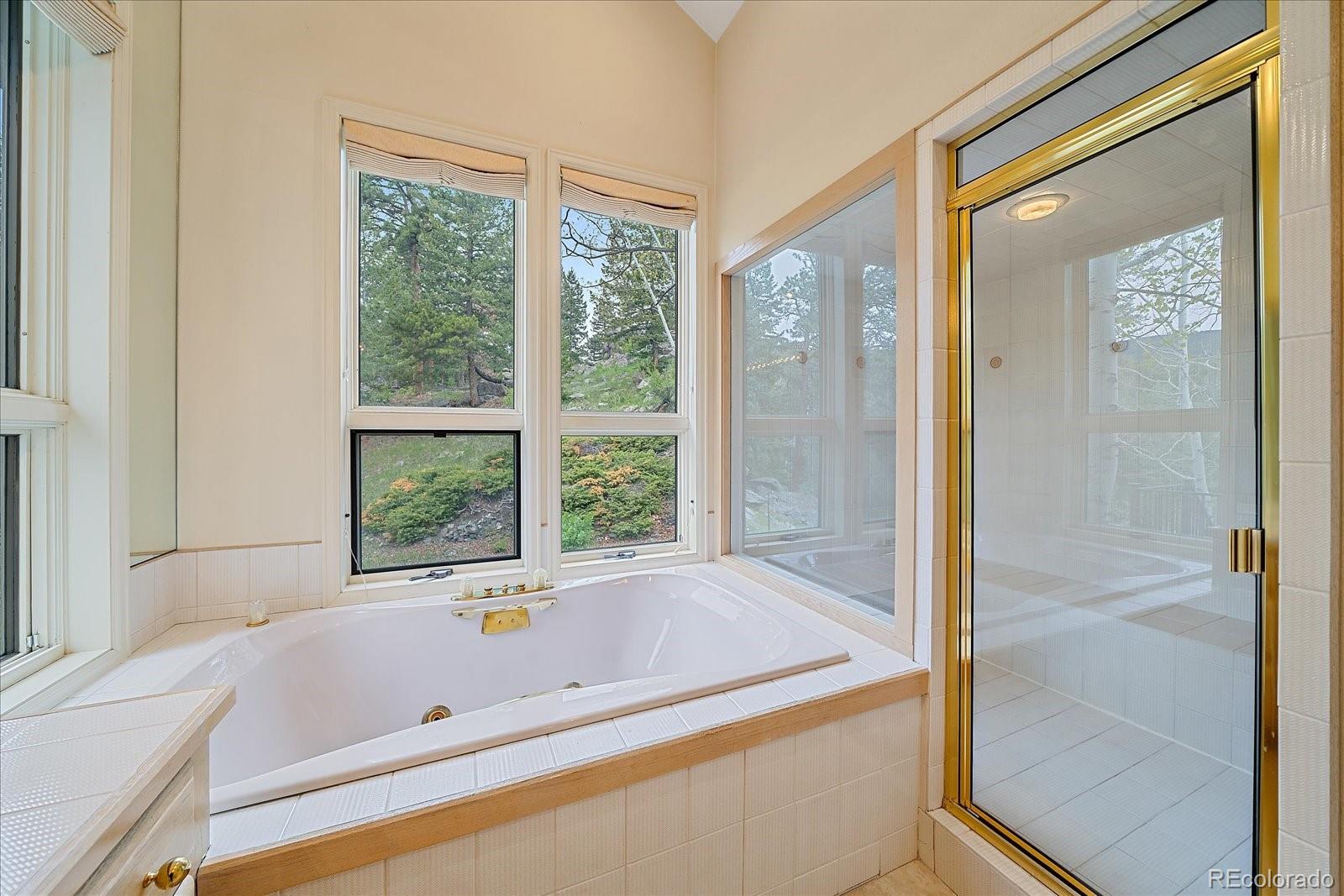 787 West Meadow Road Evergreen, CO 80439 - Photo 26 of 50