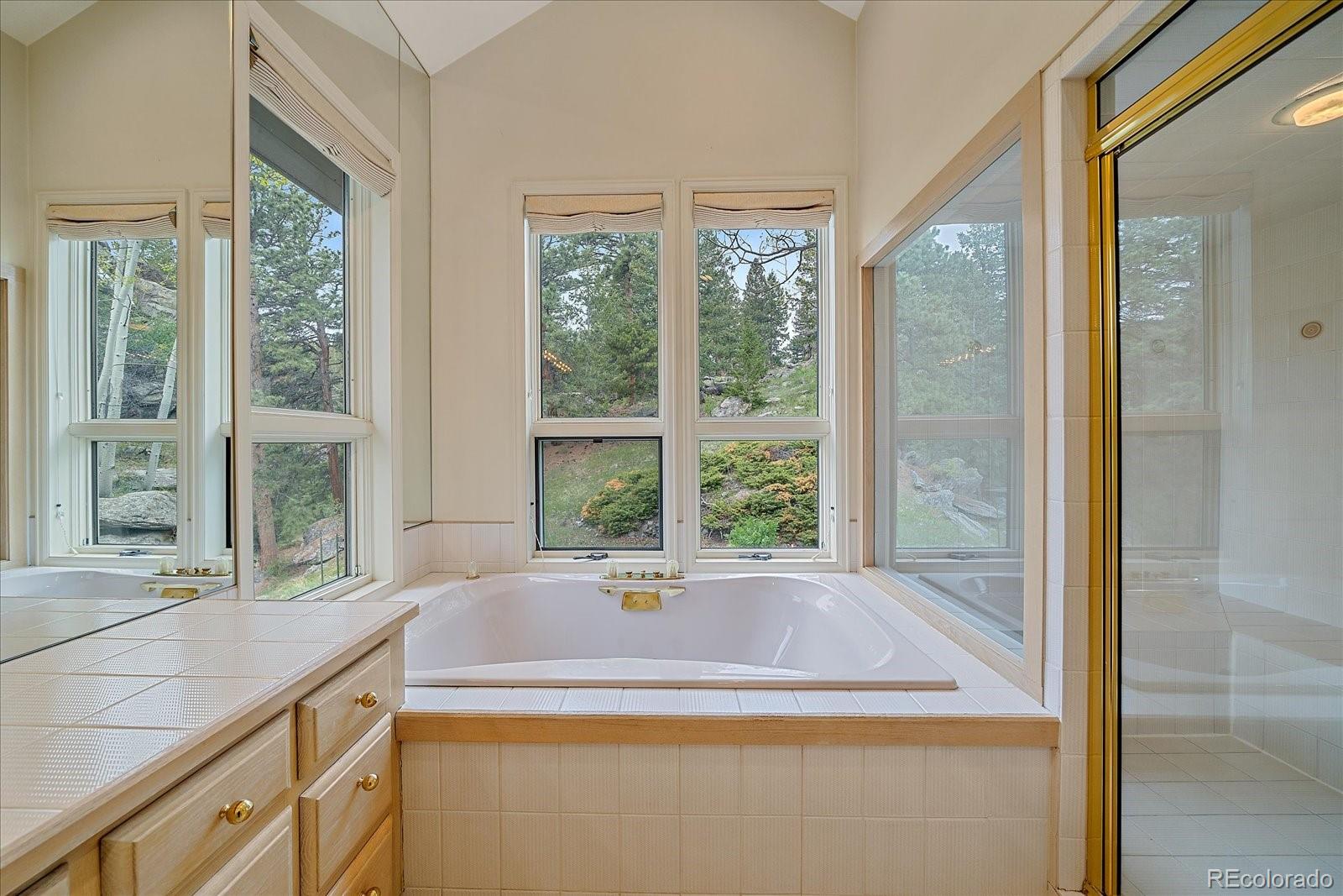 787 West Meadow Road Evergreen, CO 80439 - Photo 27 of 50