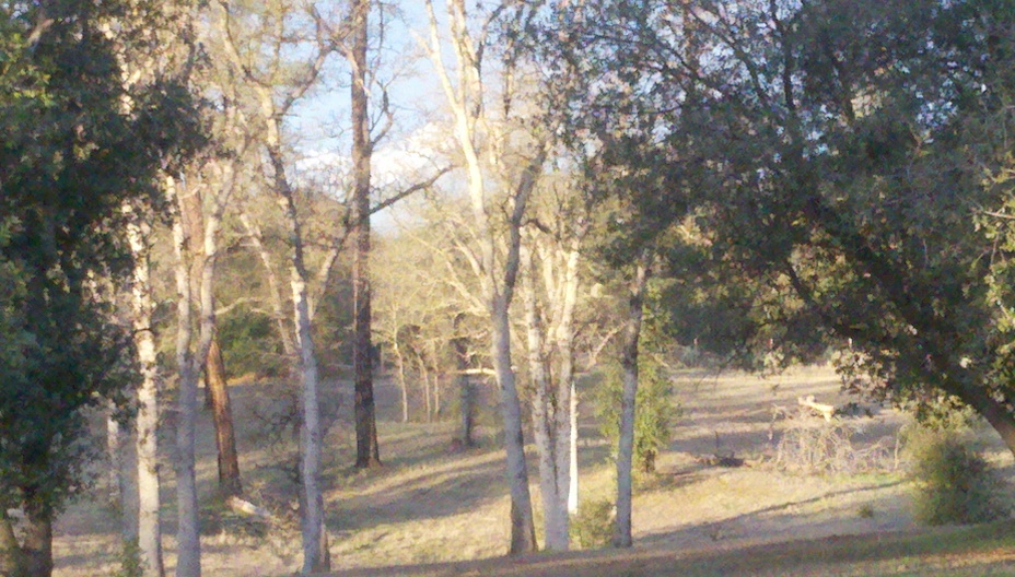 10144 Rd Runner Way Redding, CA 96003 - Photo 53 of 57 Filtered views of Western Mt range