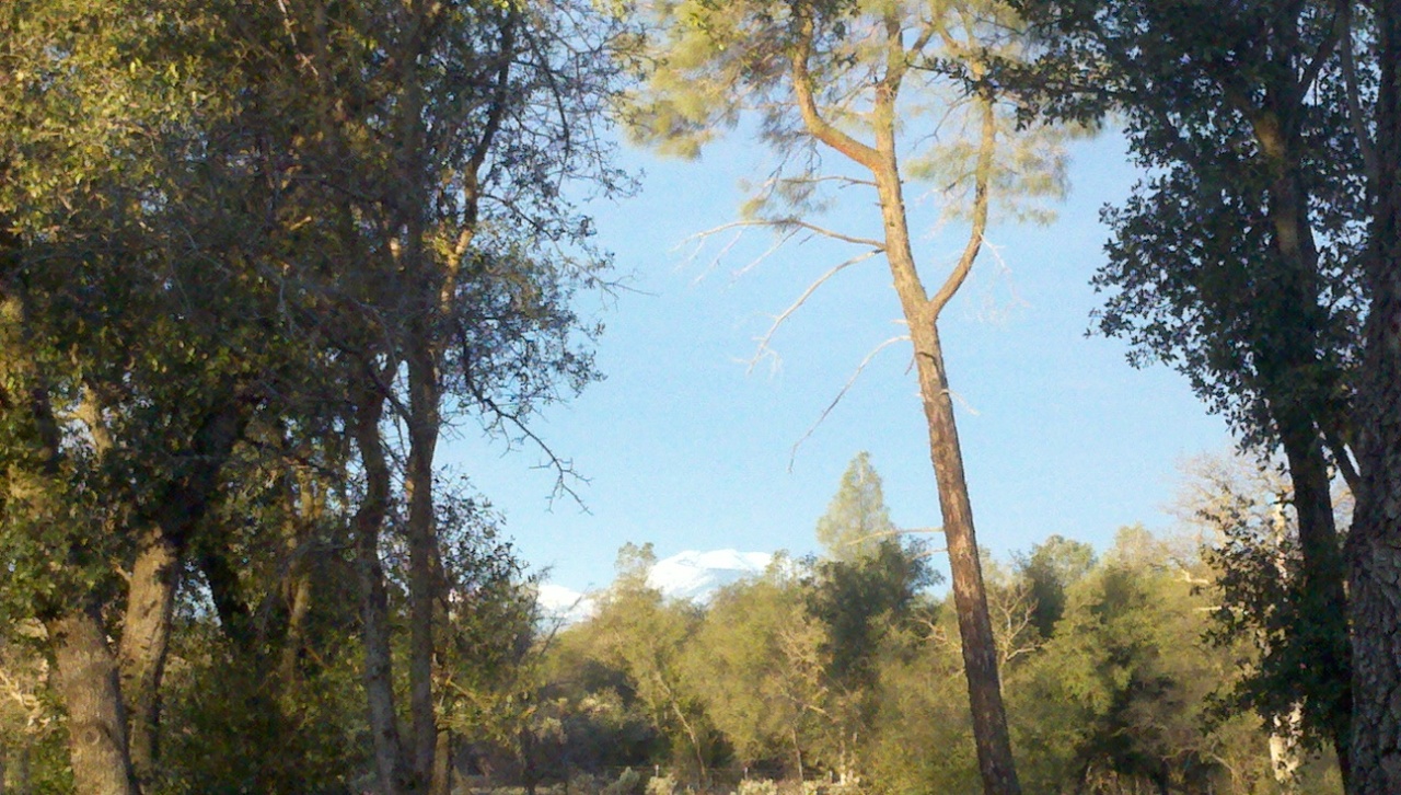 10144 Rd Runner Way Redding, CA 96003 - Photo 54 of 57 backyard filtered view of Mt. Bally