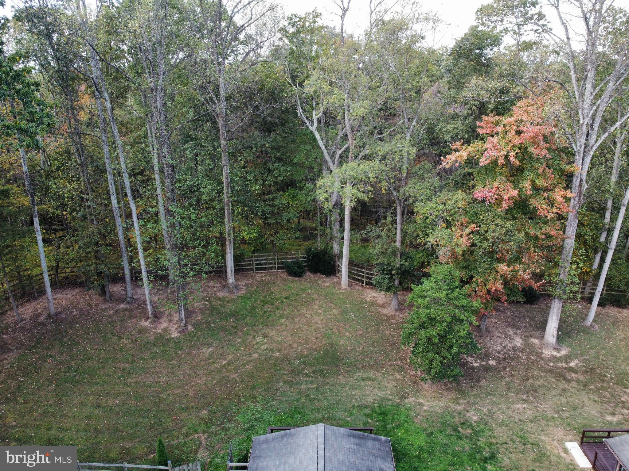 16400 Black Rock Road Darnestown, MD 20874 - Photo 63 of 66 Expansive backyard and forest
