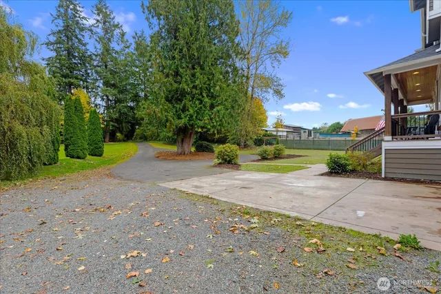 a view of a yard with of trees