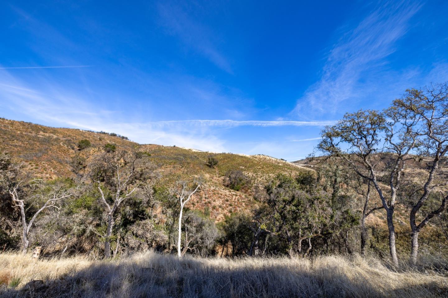 20803 Cachagua Road Carmel Valley, CA 93924 - Photo 15 of 21 a view of a city with lush green forest