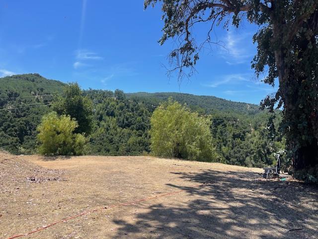 20803 Cachagua Road Carmel Valley, CA 93924 - Photo 19 of 21 a view of a yard with a tree