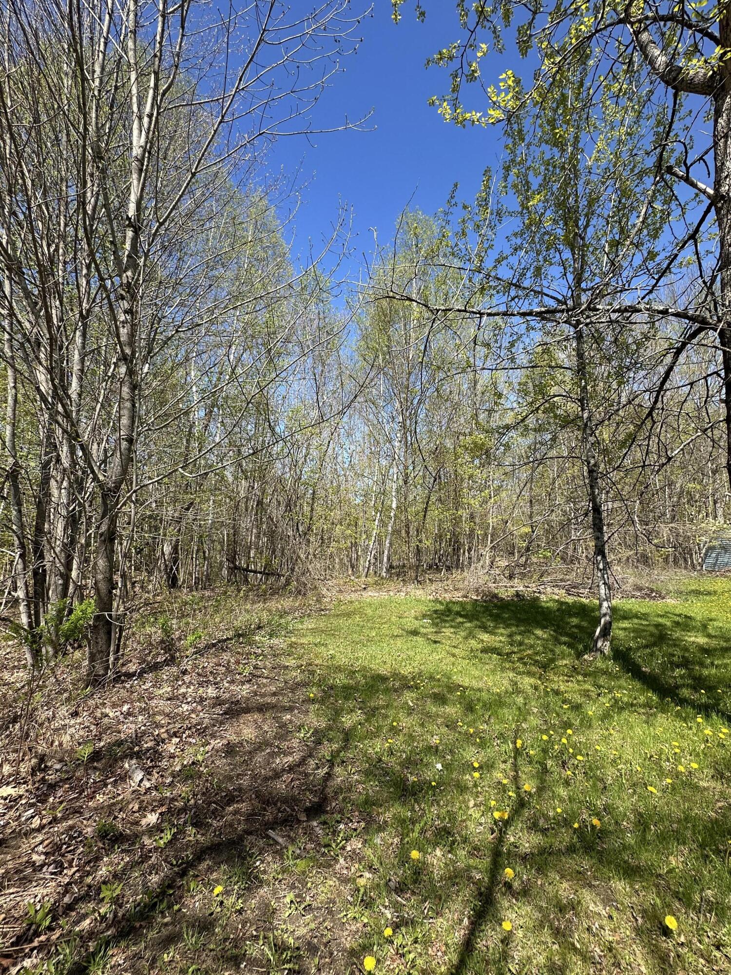 250 East Jay Road Jay, ME 04239 - Photo 1 of 12 Dashiell 13