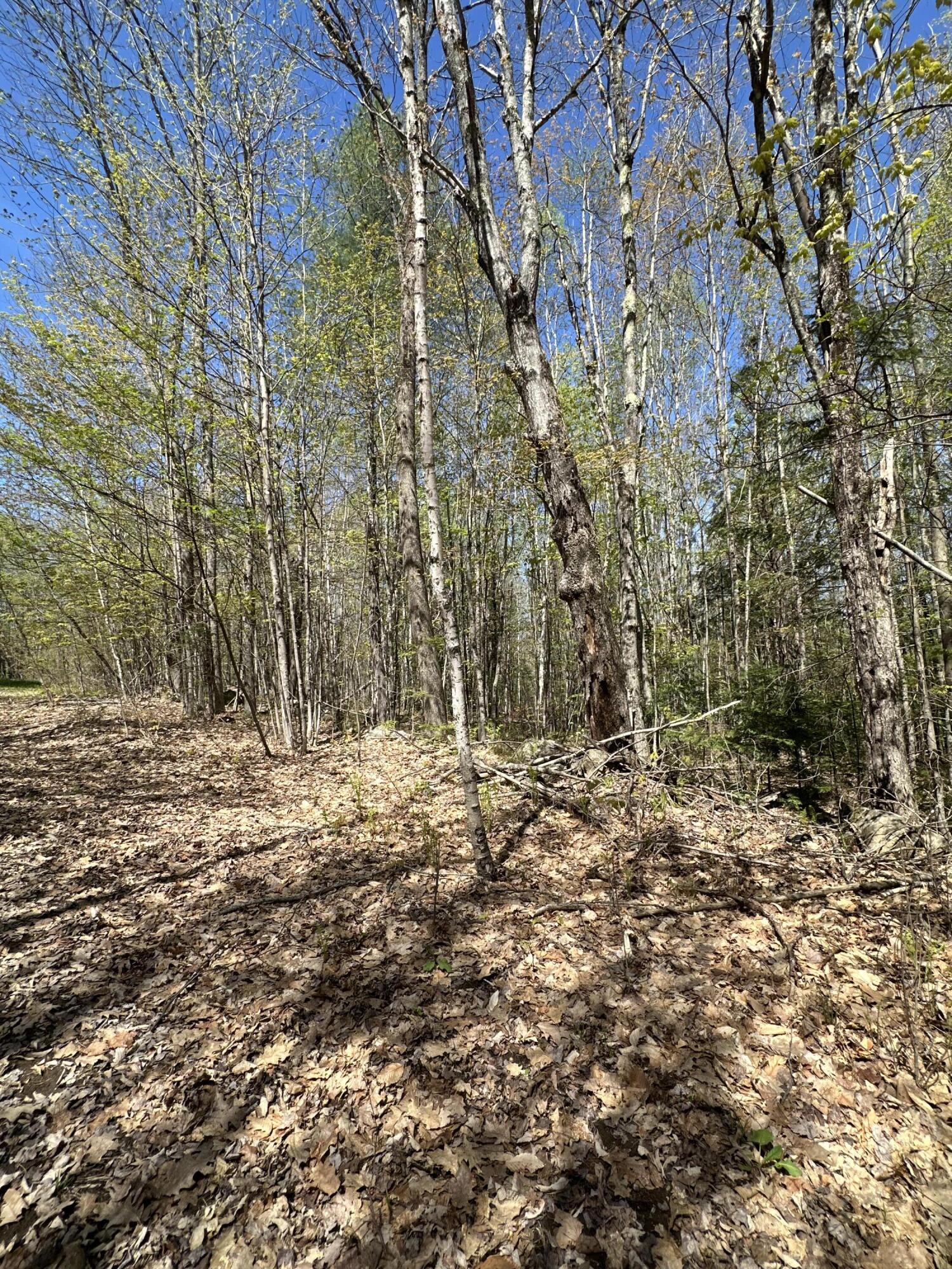 250 East Jay Road Jay, ME 04239 - Photo 4 of 12 Dashiell 4