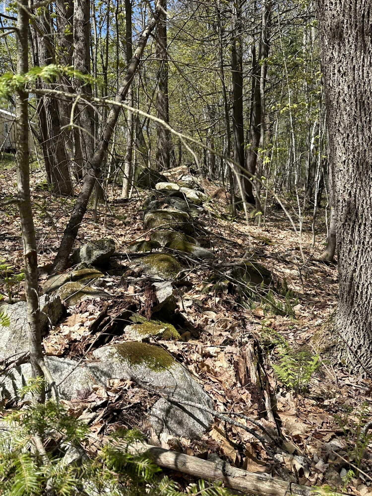 250 East Jay Road Jay, ME 04239 - Photo 5 of 12 Dashiell 1