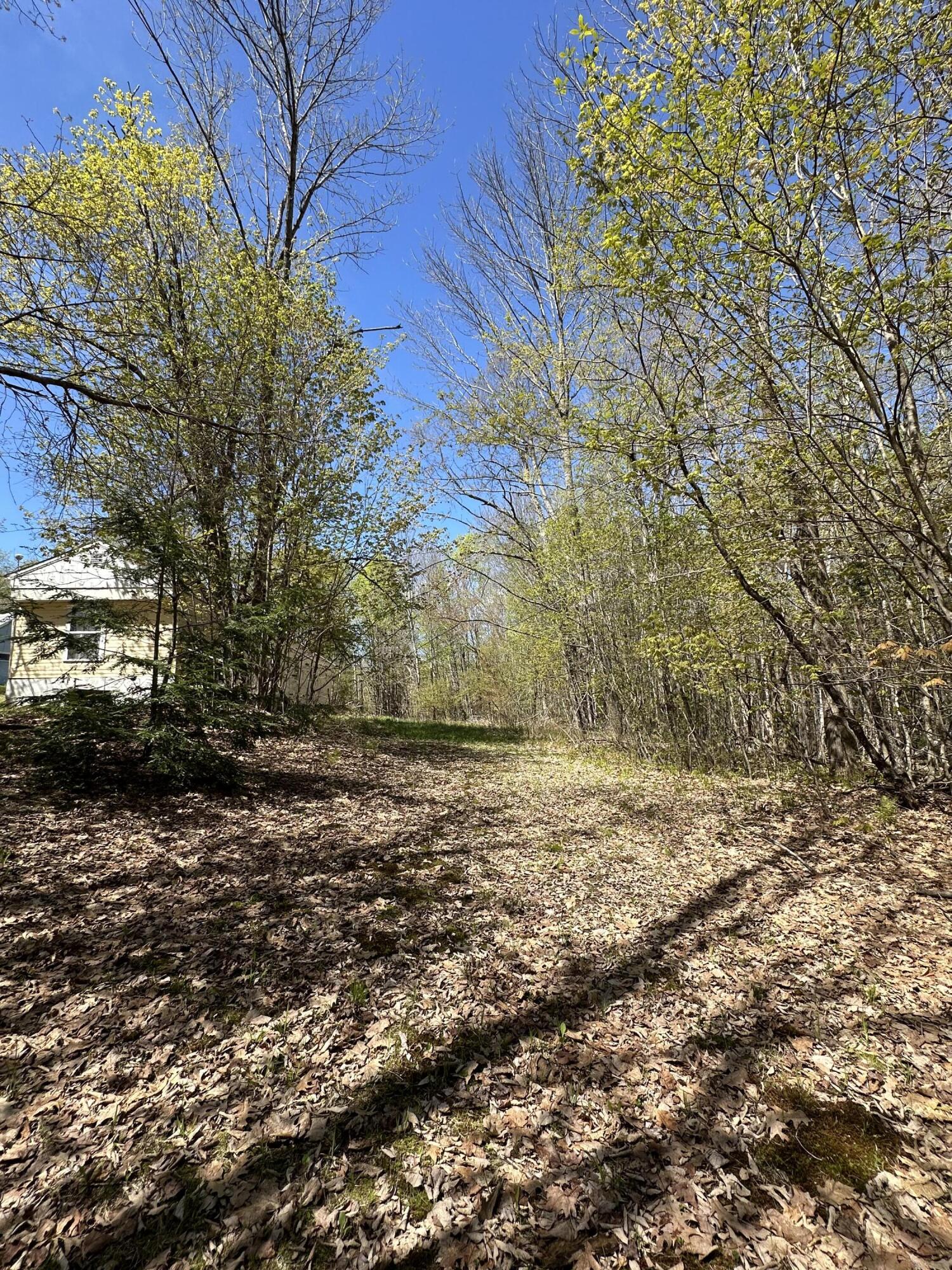 250 East Jay Road Jay, ME 04239 - Photo 10 of 12 Dashiell 8