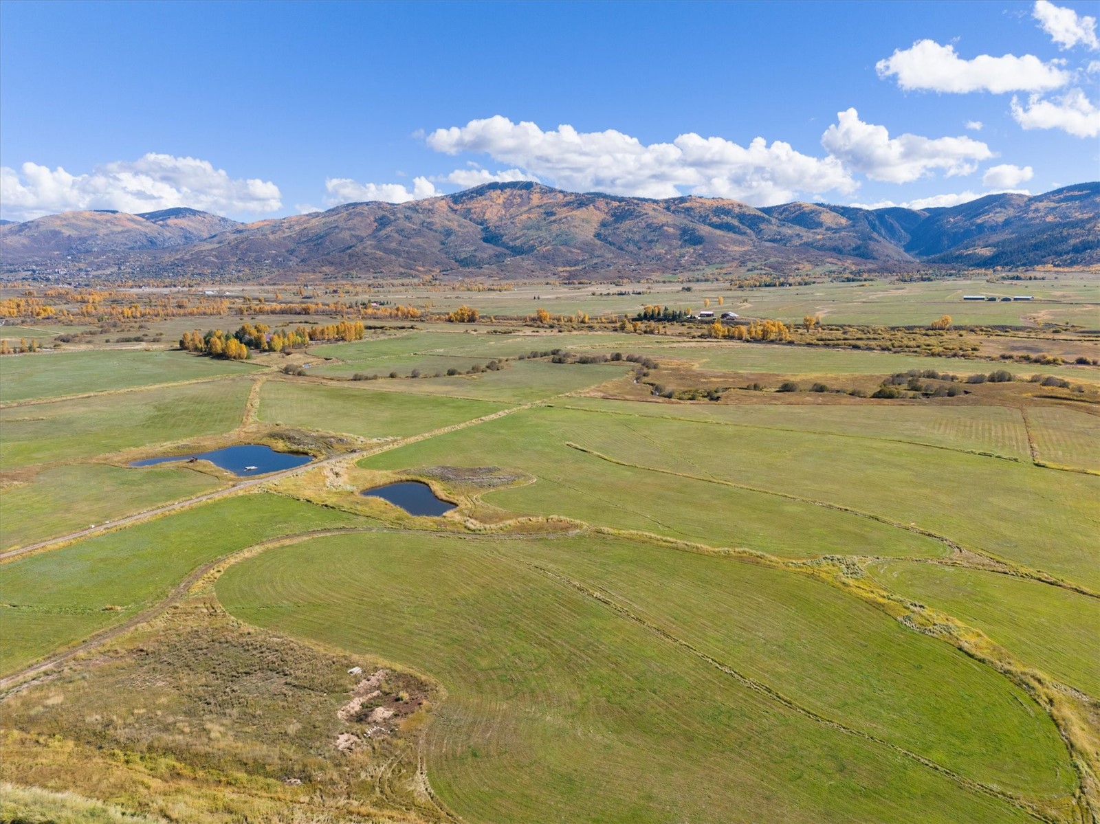30855 Emerald Ridge Steamboat Springs, CO 80487 - Photo 46 of 49