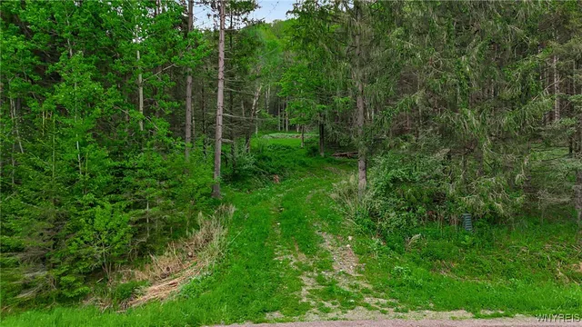 $110,000 | Vl Maples Road, Little Valley, NY 14755