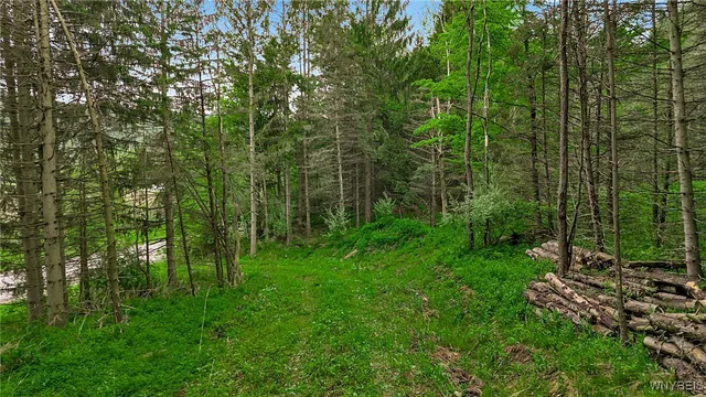 $110,000 | Vl Maples Road, Little Valley, NY 14755