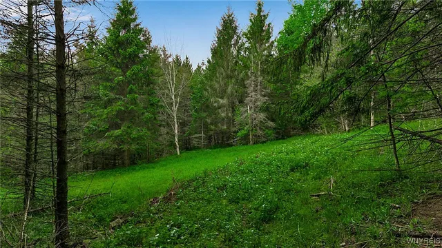 $110,000 | Vl Maples Road, Little Valley, NY 14755