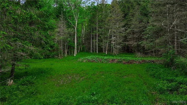 $110,000 | Vl Maples Road, Little Valley, NY 14755