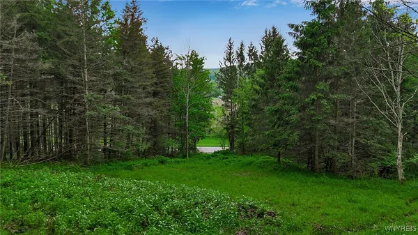 $110,000 | Vl Maples Road, Little Valley, NY 14755