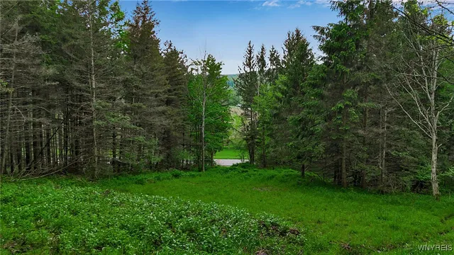 $110,000 | Vl Maples Road, Little Valley, NY 14755