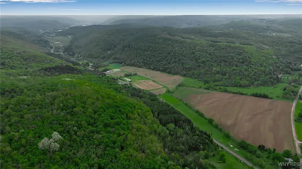 $110,000 | Vl Maples Road, Little Valley, NY 14755