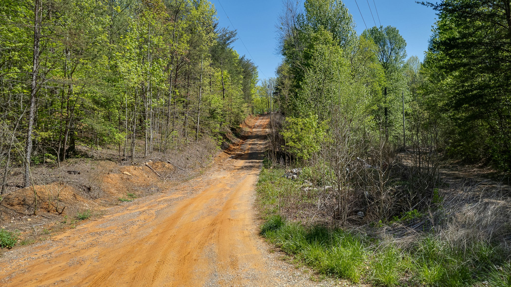 0 Branch Way Newport, TN 37821 - Photo 5 of 6 a view of a backyard with pathway