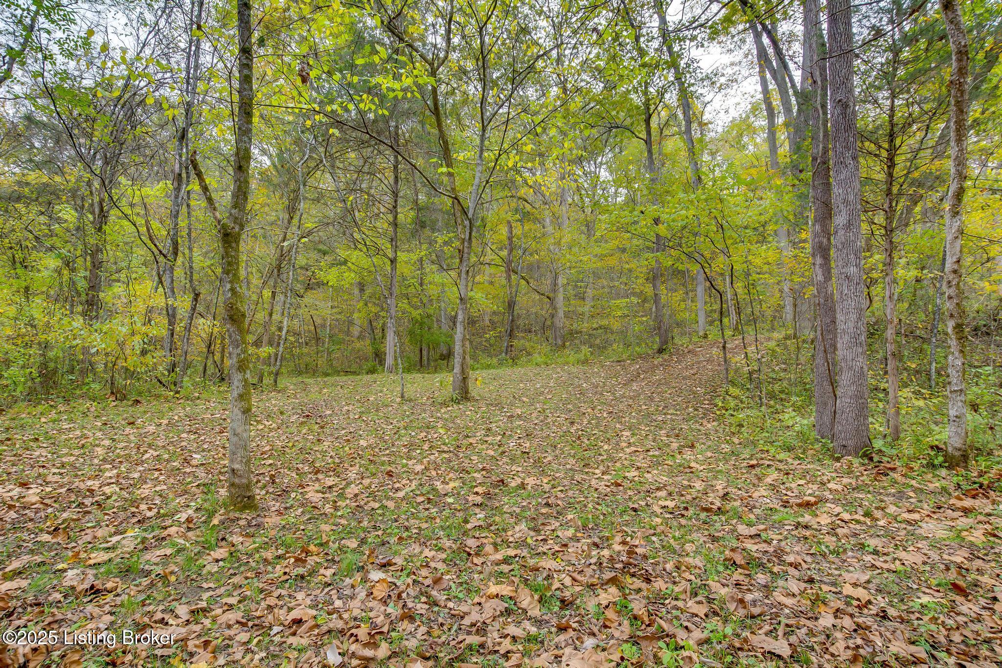 Lot 8 Bray Ridge Road Bedford, KY 40006 - Photo 19 of 46 BrayRidgeRd_748