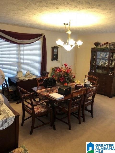 133 Danview Road Jacksonville, AL 36265 - Photo 4 of 30