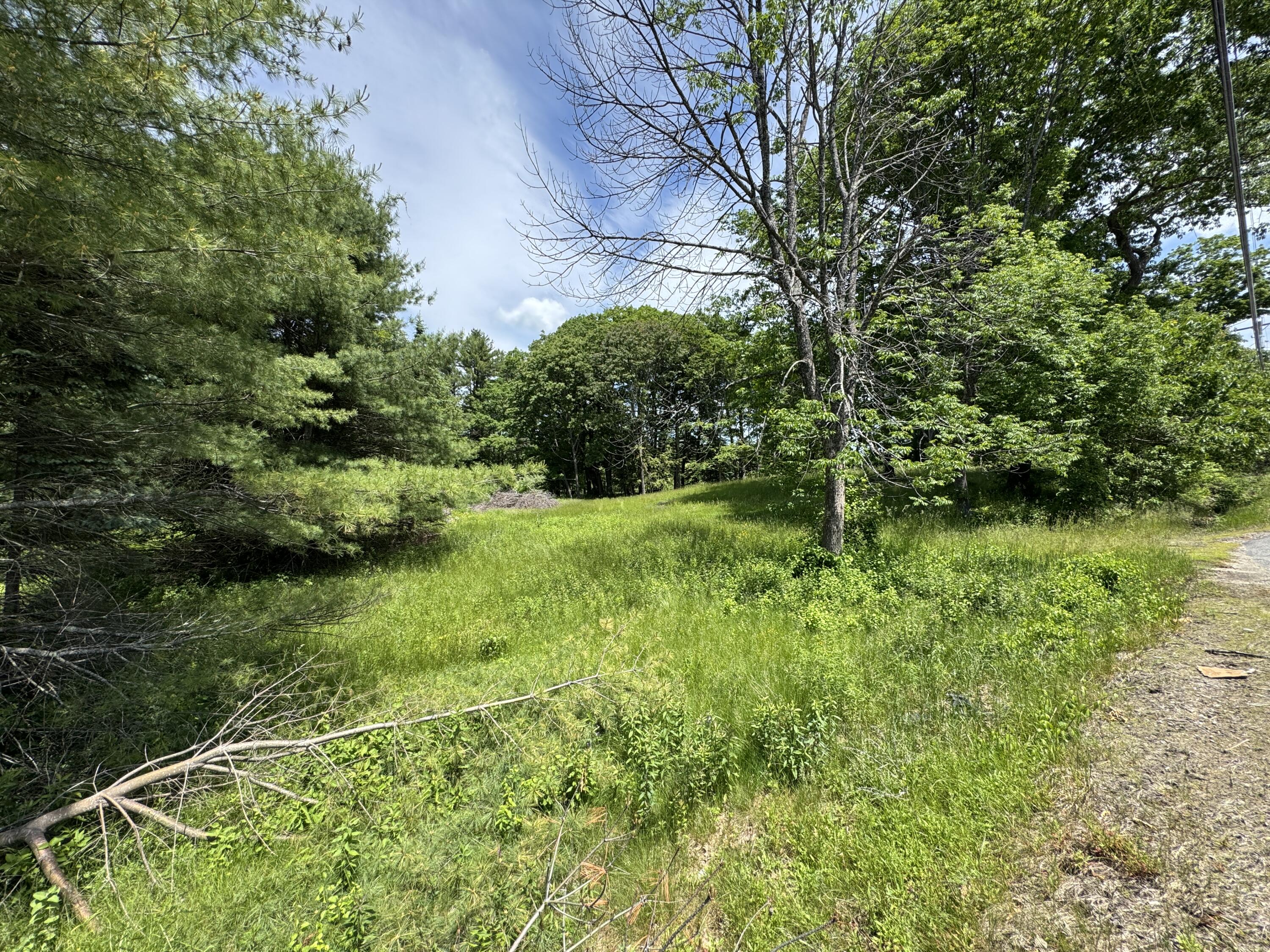 0 County Road Gorham, ME 04038 - Photo 8 of 10 IMG_8696
