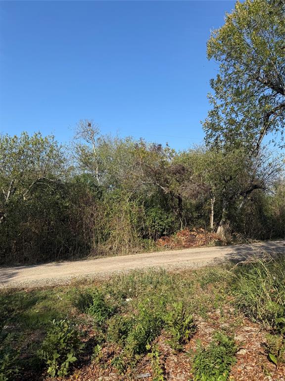 319 North Front Holland, TX 76534 - Photo 2 of 7 a view of a yard with a tree