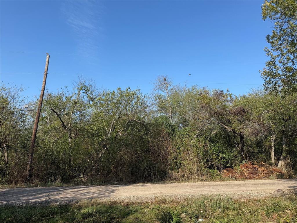 319 North Front Holland, TX 76534 - Photo 4 of 7 a view of a yard