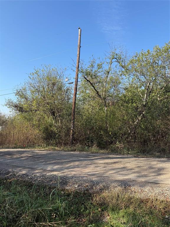 319 North Front Holland, TX 76534 - Photo 6 of 7 a view of a yard