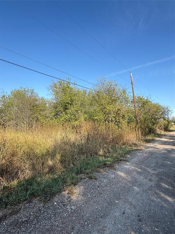 319 North Front Holland, TX 76534 - Photo 7 of 7 a view of a yard with an tree