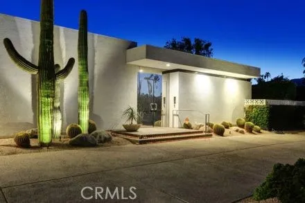 a view of a yard with palm trees