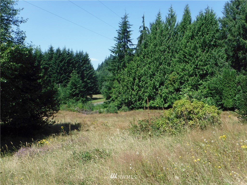 1071 Highway 101 Cosmopolis, WA 98537 - Photo 22 of 27 Gallery Image 22