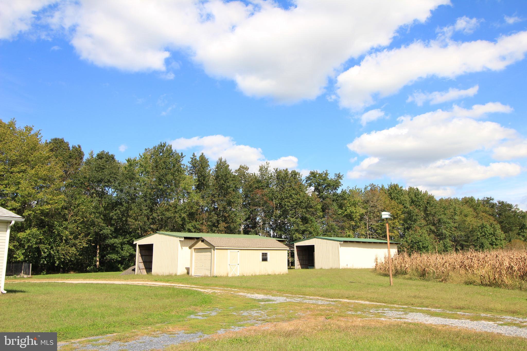 8493 Old Racetrack Road Delmar, DE 19940 - Photo 9 of 45 2 Lrg. Metal buildings - smaller shed not included
