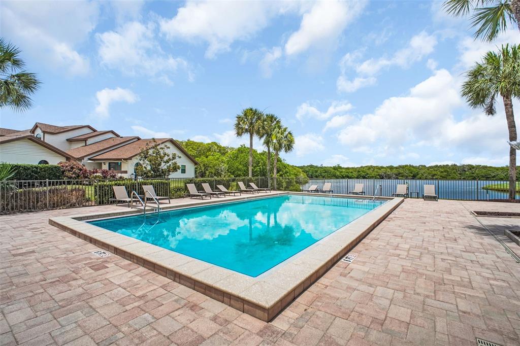 14893 Feather Cove Road Clearwater, FL 33762 - Photo 45 of 52