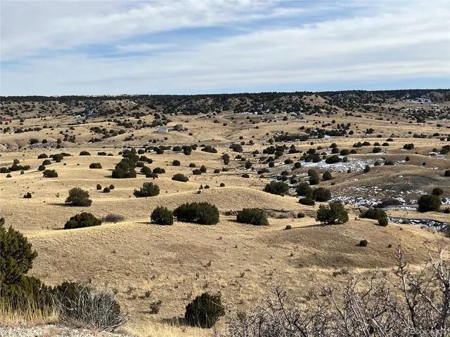 a view of a sky from a yard