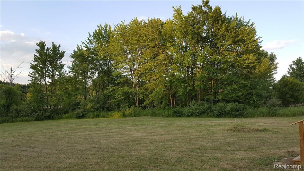 6464 North Fowlerville Road Fowlerville, MI 48836 - Photo 6 of 70 20160630_203159.jpg