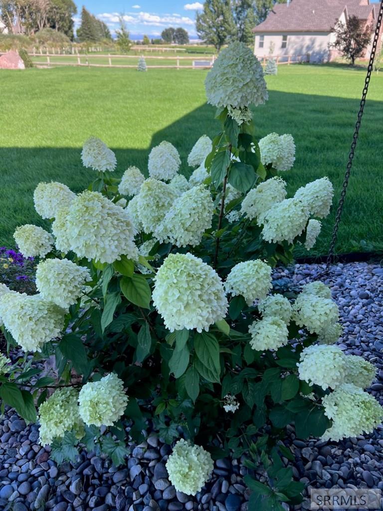 3843 East 446 North Rigby, ID 83442 - Photo 87 of 106 Gallery Image 87