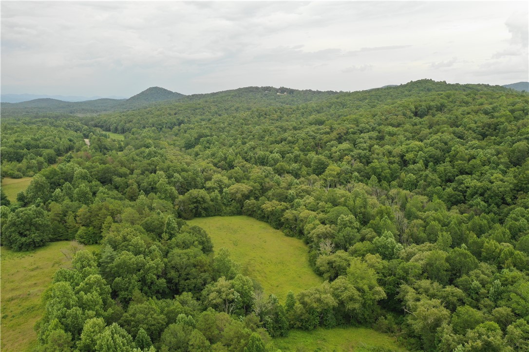 7 Midway Road Pickens, SC 29671 - Photo 3 of 9