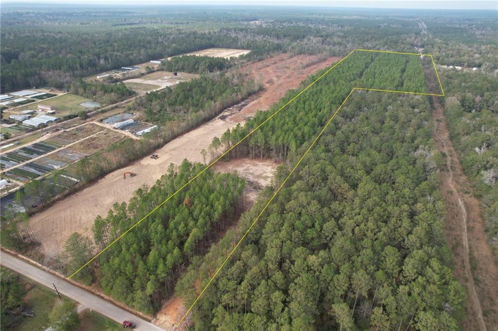 0 Ashmore Road Glenmora, LA 71433 - Photo 2 of 11